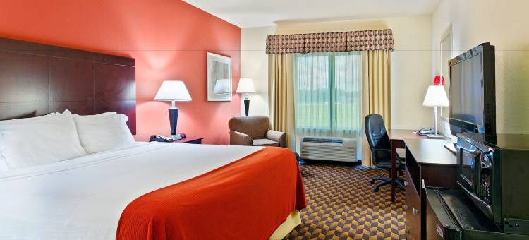马尔文智选假日酒店(Holiday Inn Express & Suites Malvern)图片