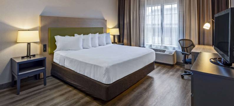 索尔兹伯里丽怡酒店(Country Inn & Suites by Radisson, Salisbury, MD)图片