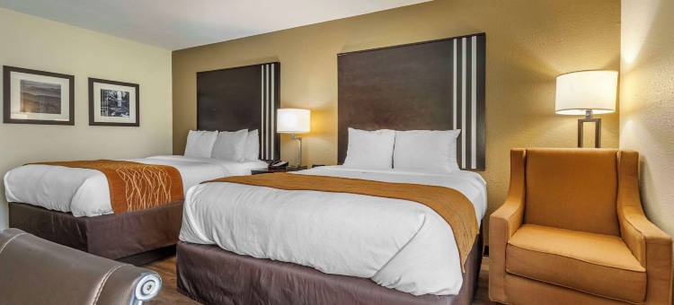 舒适酒店(Comfort Inn Near Downtown & Blue Ridge Pkwy)图片
