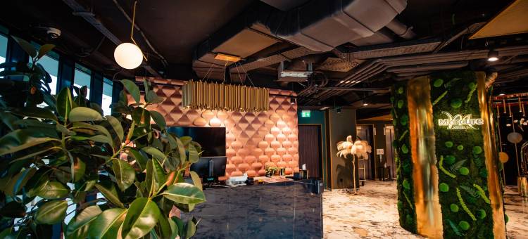 美居蒂米什瓦拉酒店(Mercure Timisoara)图片