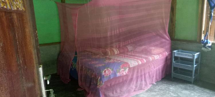 唐卡汉绿色小屋(Green Lodge Tangkahan)图片