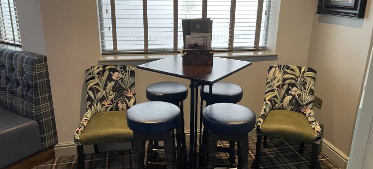 常春藤树(The Ivy Tree)图片