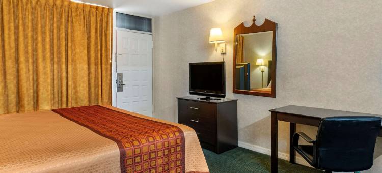 克利尔沃特拉戈罗德威酒店(Rodeway Inn Clearwater-Largo)图片