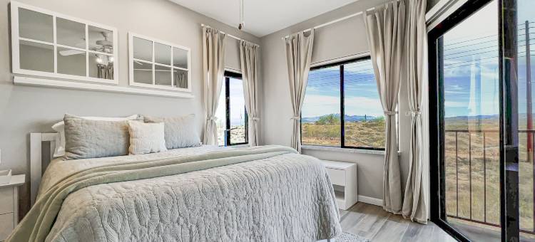 仙人掌 #202 喷泉山(Saguaro #202 Fountain Hills)图片