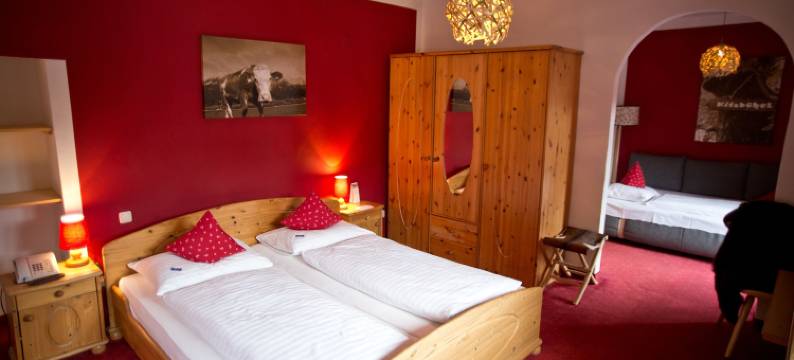 加姆斯霍夫酒店(Hotel Gamshof)图片