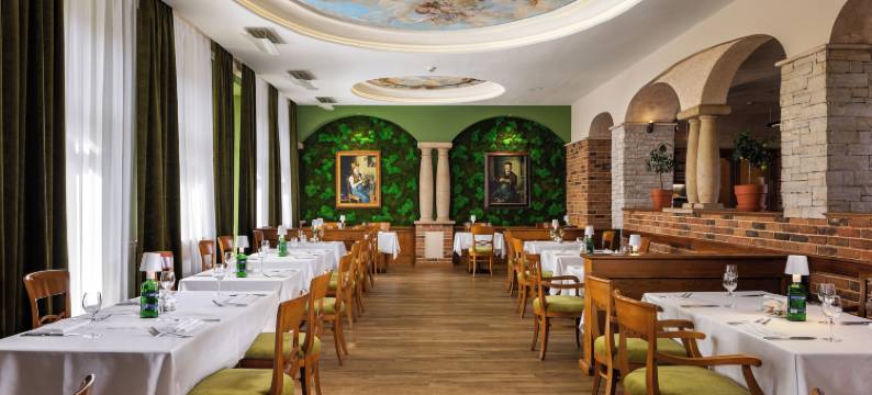 卡尔斯巴德广场医疗Spa和康体酒店(Carlsbad Plaza Medical Spa & Wellness Hotel)图片