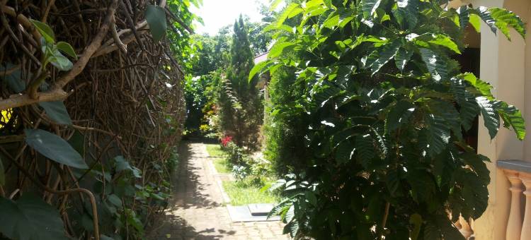 迪奇凯富酒店(Dich Comfort Hotel - Main Branch)图片