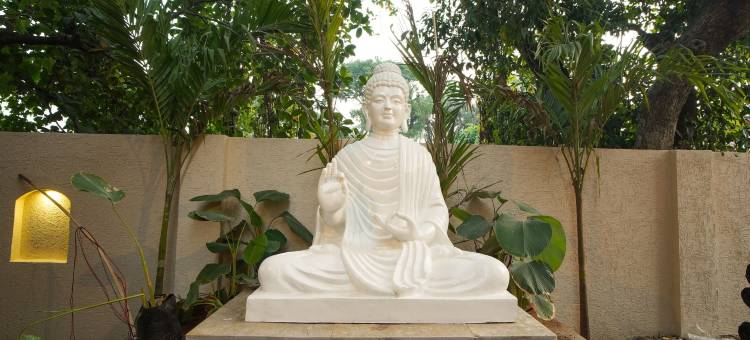 果阿卡兰古特树屋火星海滩小屋(TreeHouse Mars Beach Cottages)图片