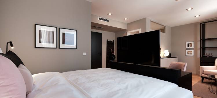 萨克斯剧院广场酒店(Saxx Hotel "Am Theater Karree")图片