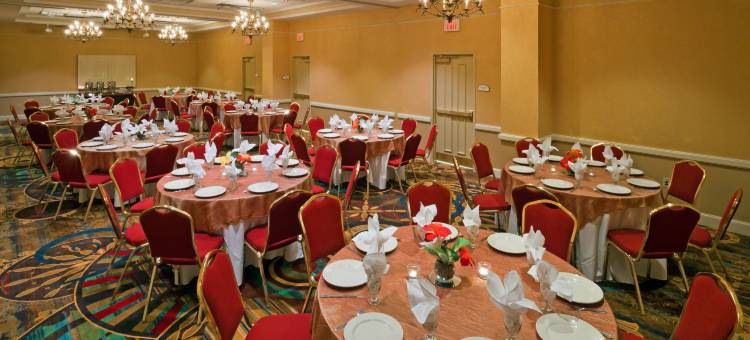 尚迪利杜勒斯世博机场假日酒店(Holiday Inn Chantilly-Dulles Expo (Arpt))图片