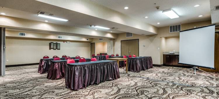 达拉斯沃思堡国际机场舒适套房酒店(Comfort Suites DFW Airport)图片