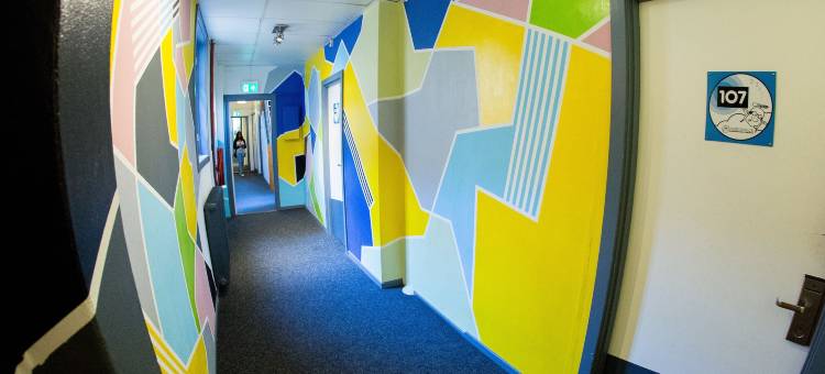 飞天猪市中心旅舍(The Flying Pig Downtown)图片