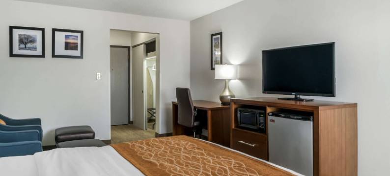 东部舒适酒店(Comfort Inn East)图片