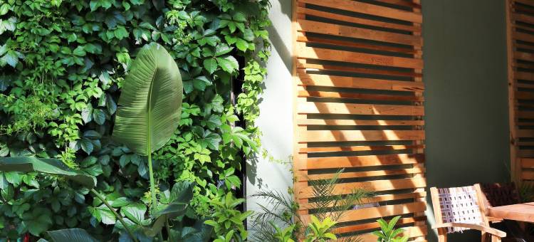 斯姆格旅馆(Simge Pension)图片