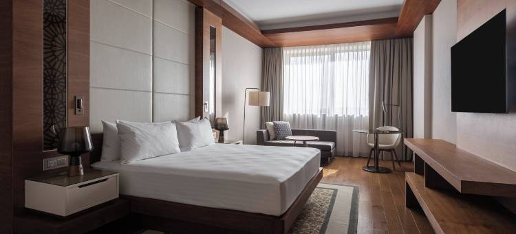 阿尔及尔巴布埃祖瓦尔万豪酒店(Algiers Marriott Hotel Bab Ezzouar)图片