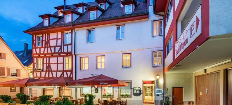 奥赫森餐厅旅馆(Hotel-Restaurant Ochsen)图片