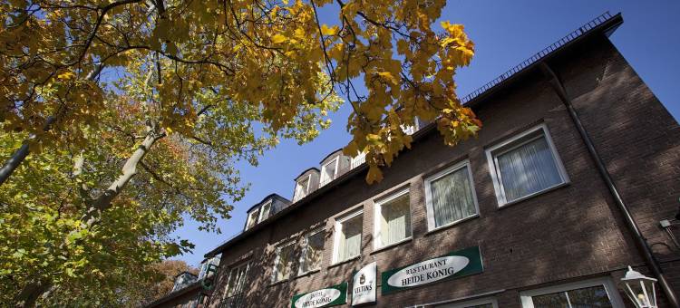 瑟勒海德柯尼格酒店(Heidekönig Hotel Celle)图片