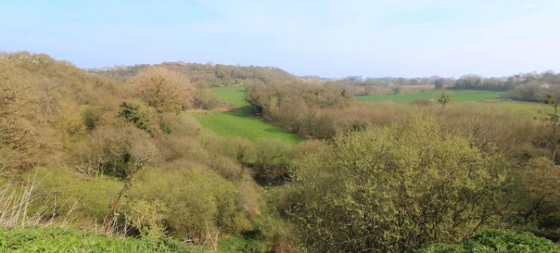 潘杜欧尼克庄园酒店(Le Manoir de Panduonec)图片