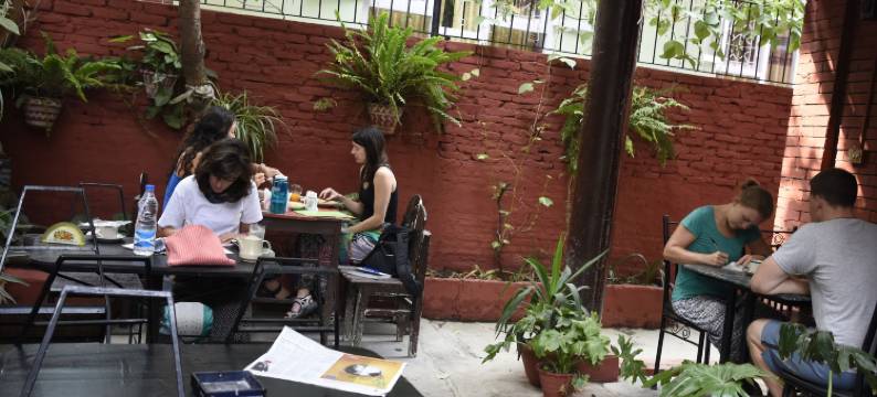 蜂巢青年旅舍(Beehive Hostel Kathmandu)图片