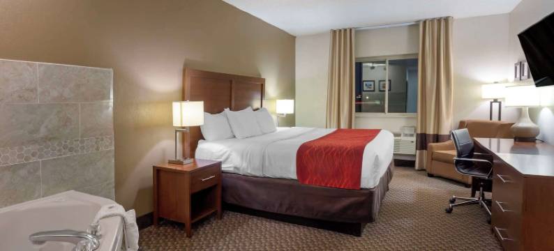 舒适酒店霍巴特-梅里尔维尔 I-65(Comfort Inn Hobart-Merrillville I-65)图片