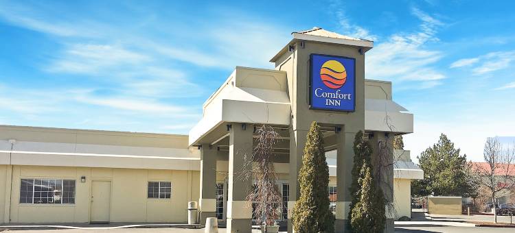 舒适套房酒店(Comfort Inn & Suites)图片