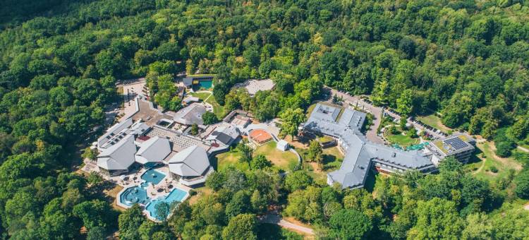 佛莱堡多林特温泉酒店(Dorint Thermenhotel Freiburg)图片