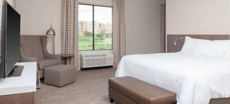 韦科希尔顿花园酒店(Hilton Garden Inn Waco)图片