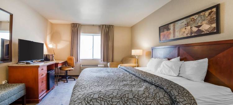 南帕罗德威套房旅馆(Rodeway Inn & Suites)图片