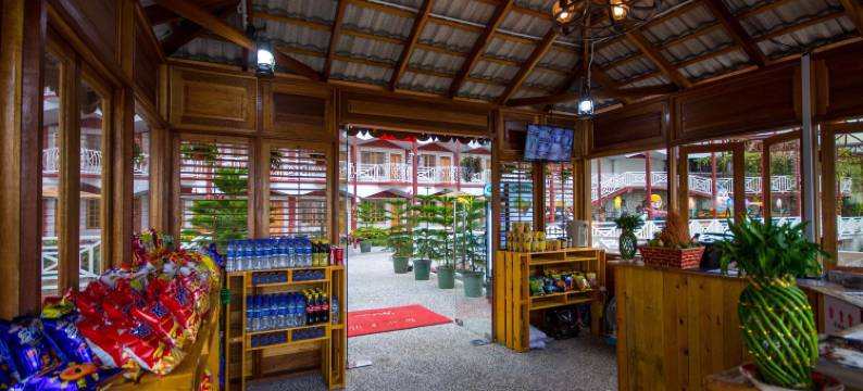 凯阿花园旅馆(Kea Garden Guest House)图片