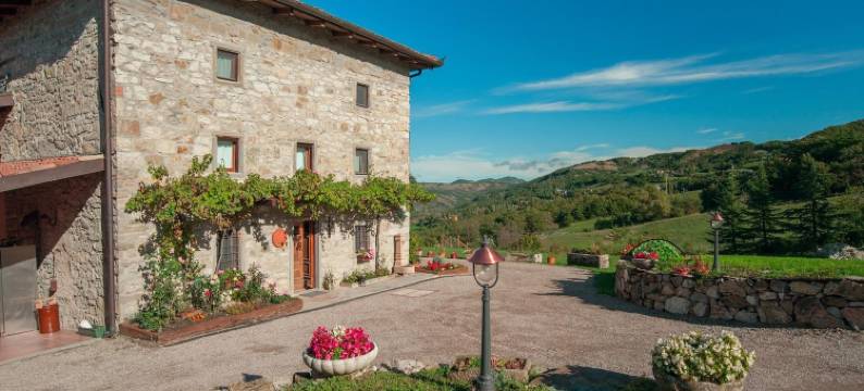 卡法蒂诺农场酒店(Fattoria Ca' di Fatino)图片