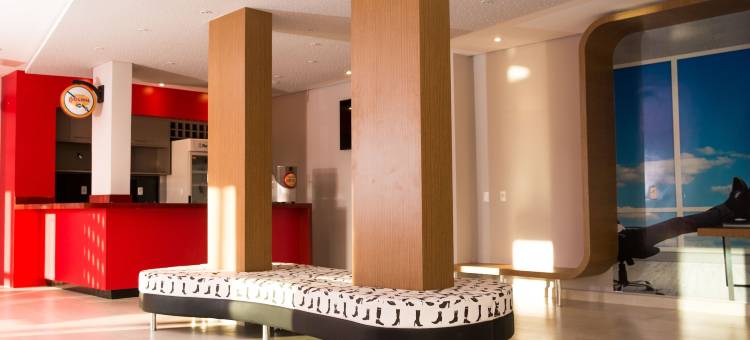 宜必思尚品比里吉酒店(Ibis Styles Birigui)图片