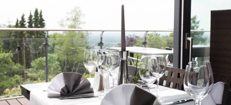 比斯马克霍恩酒店(Hotel Bismarckhöhe)图片