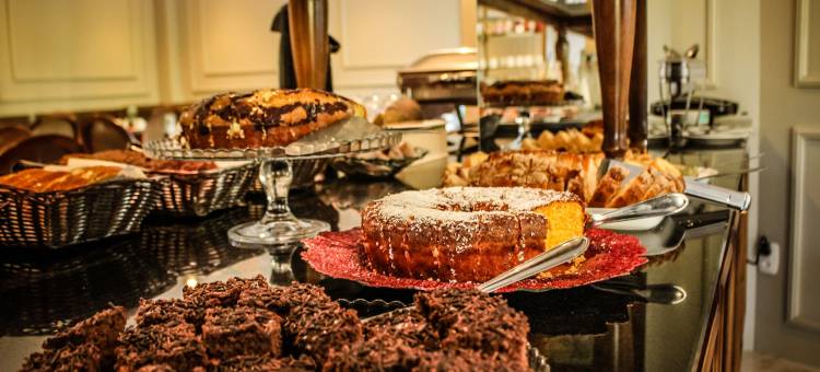 山丘拉各斯酒店(Colina Lagos Hotel)图片