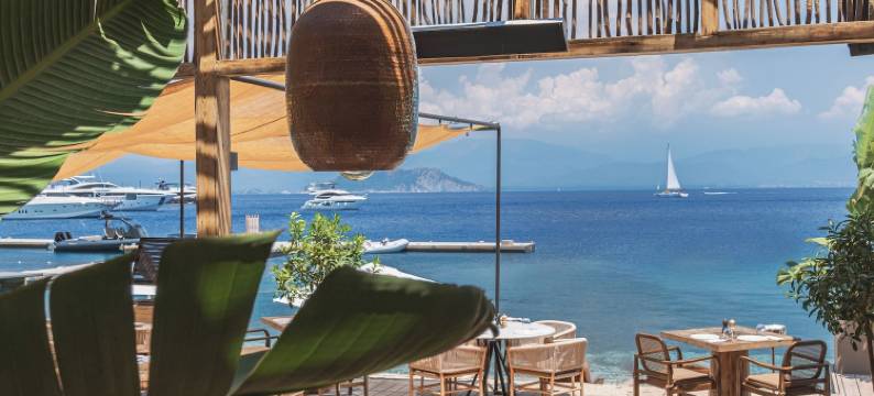 Yazz 集体(Yazz Collective)图片