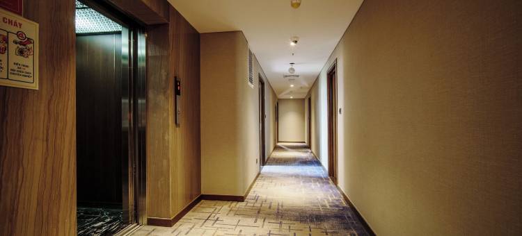 日河豪华酒店(NHAT HA LAVISH HOTEL)图片