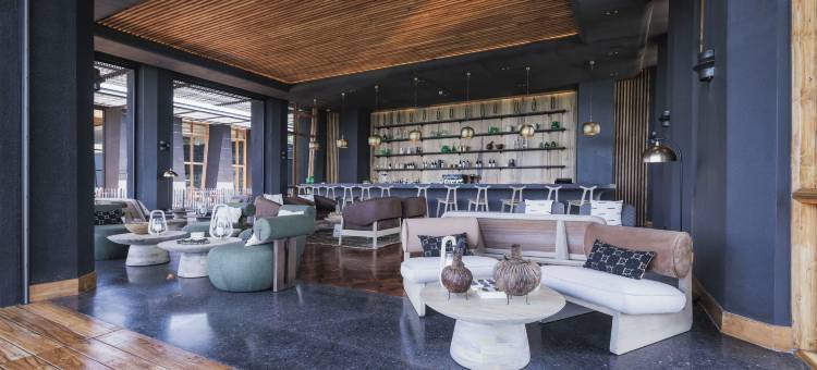 塞伦盖蒂探险者(Serengeti Explorer)图片