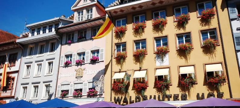 沃尔德舒特霍夫酒店(Waldshuter Hof)图片