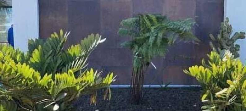 利门健康酒店(Limen Wellness Hotel)图片