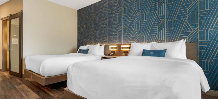 DoubleTree by Hilton Summerville Nexton图片