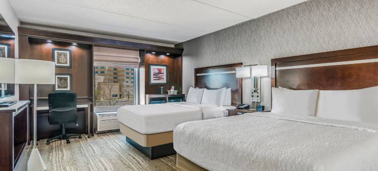 希尔顿欢朋套房酒店-底特律机场罗穆勒斯(Hampton Inn & Suites Detroit/Airport-Romulus)图片