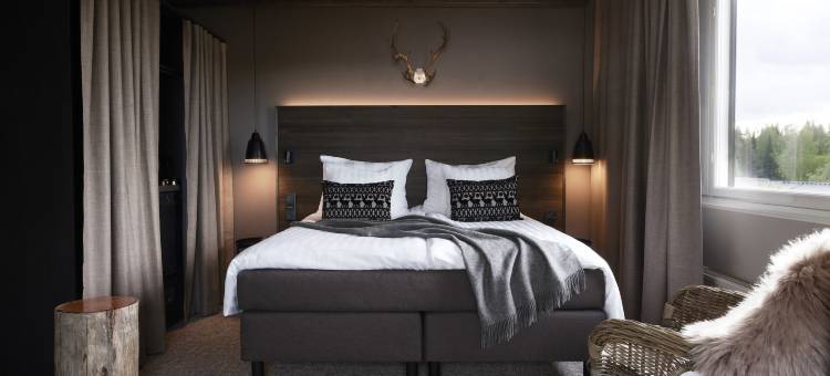 库奥皮欧拉普兰酒店(Lapland Hotels Kuopio)图片