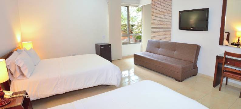 帕隆格酒店(Hotel Palonegro)图片