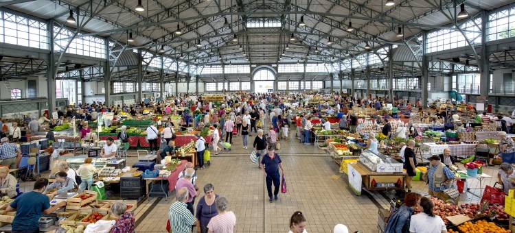 马尔斯涛特尔旅馆(Cit'Hotel de la Marne)图片