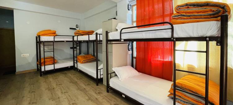 吉布什疯狂包装工旅馆(Madpackers Jibhi - of Streamsides & Waterfalls)图片