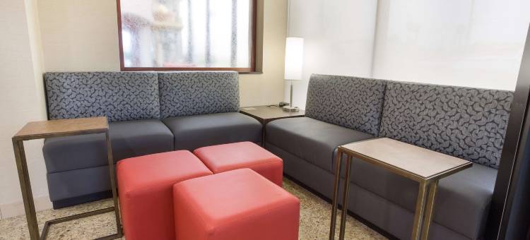 乔普林德鲁里套房酒店(Drury Inn & Suites Joplin)图片