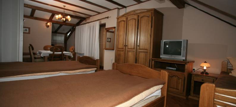 巴拉尼亚门公寓(Apartments Vrata Baranje)图片