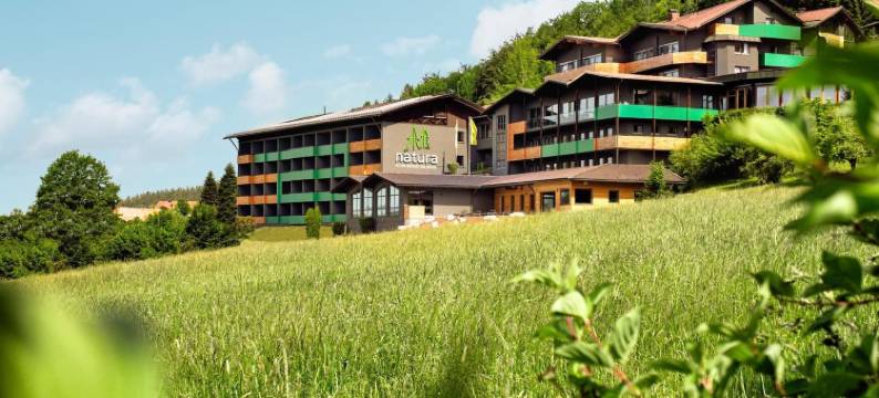 博登迈斯自然酒店(Natura Hotel Bodenmais - Inkl Soft- Und Heißgetränkeflat)图片