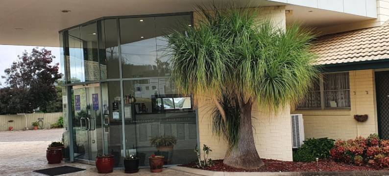 阿斯顿汽车旅馆 - 塔姆沃思(The Aston Motel Tamworth)图片