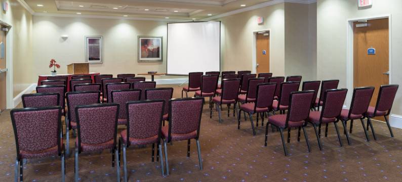 Holiday Inn 奥罗拉北，内珀维尔(Holiday Inn AURORA NORTH- NAPERVILLE by IHG)图片