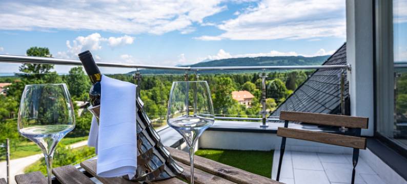 巴尔奇奇酒店(Hotel Palcich Plitvice)图片